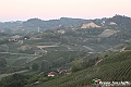 VBS_5495 - C'è un mare di velluto verde! E tu che sognavi di andare lontano... Quanta meraviglia, quì!
